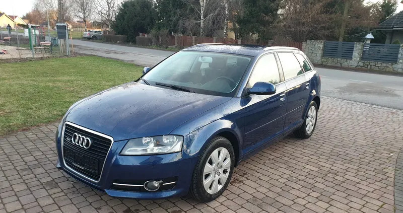 dolnośląskie Audi A3 cena 31999 przebieg: 260569, rok produkcji 2010 z Piotrków Kujawski